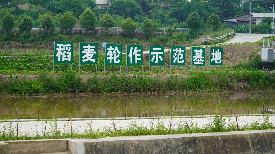 麦昌赫农业
